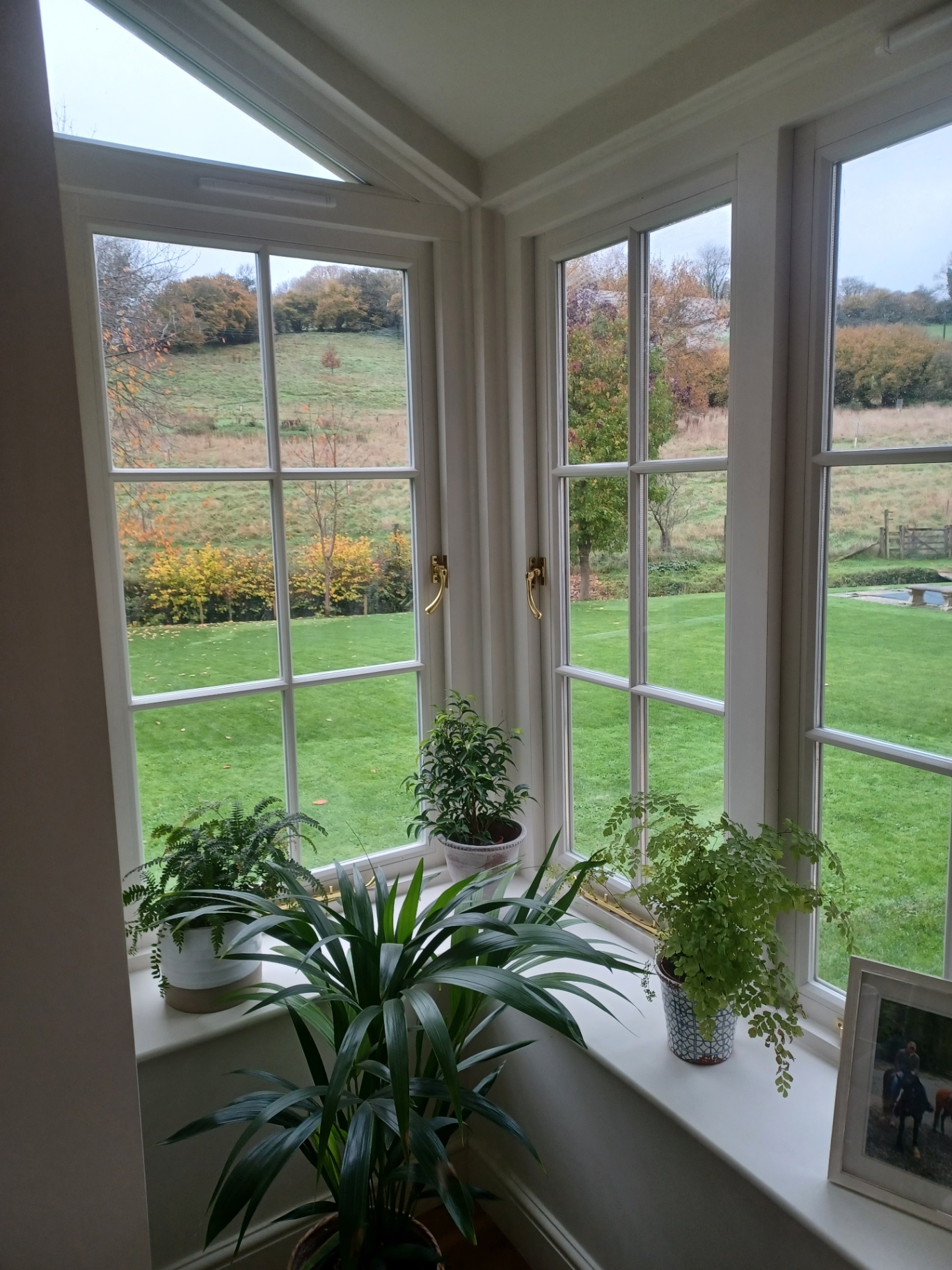 Elegant Timber Orangery & Garden Extension — Dorset & the South West, photo 37 of 40