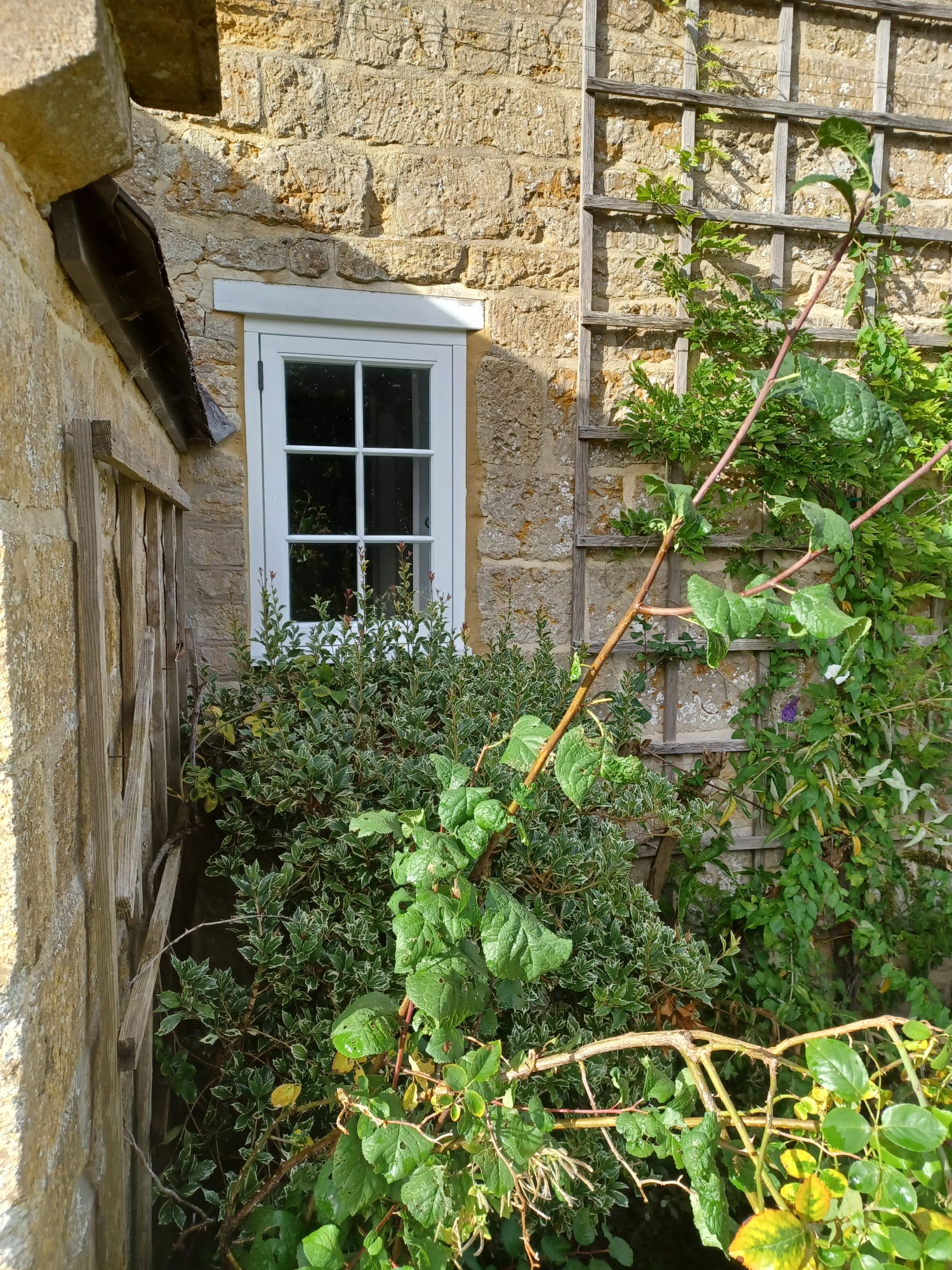 Heritage Cottage Timber Casement Window — Dorset