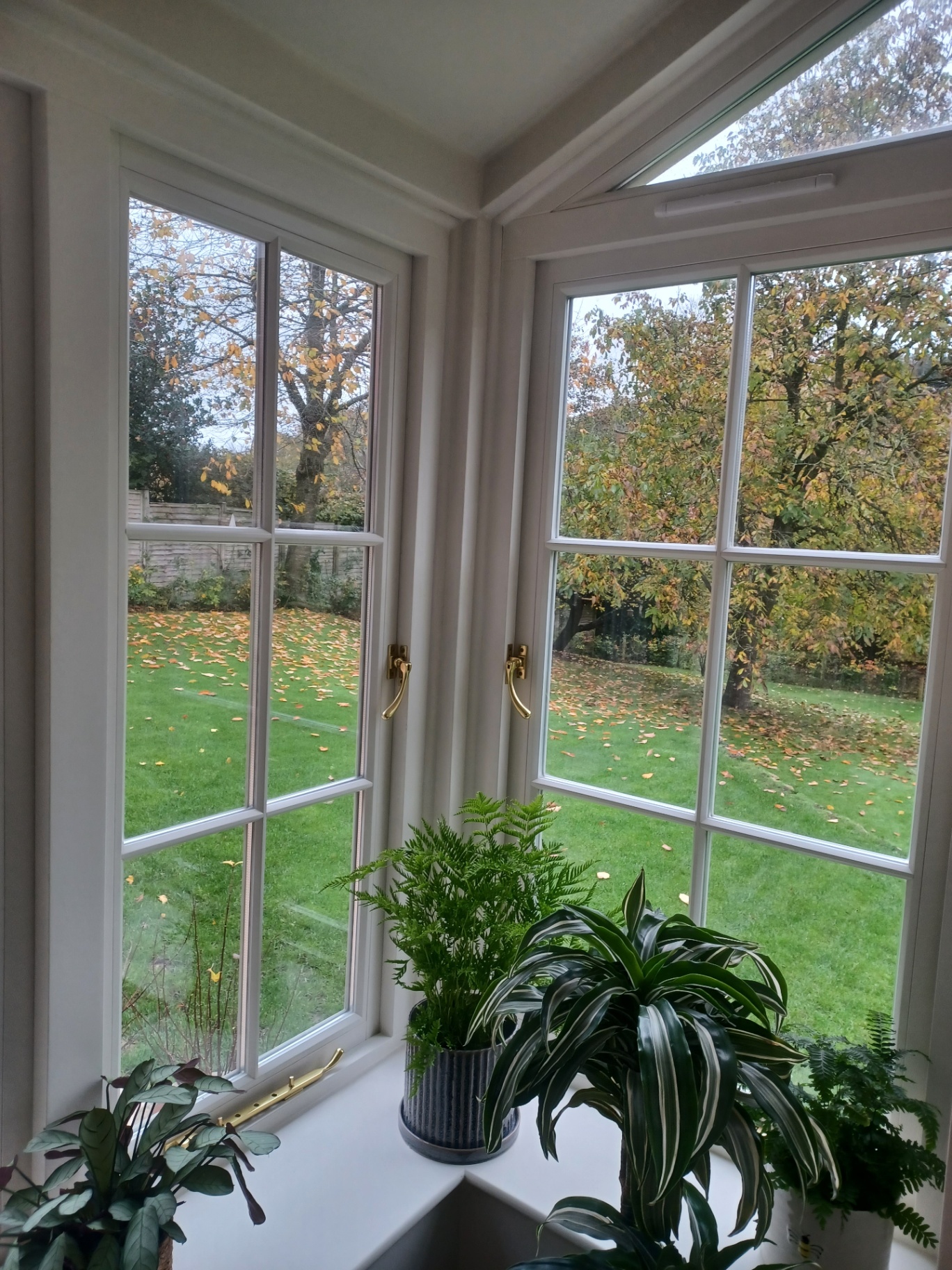 Elegant Timber Orangery & Garden Extension — Dorset & the South West, photo 36 of 40