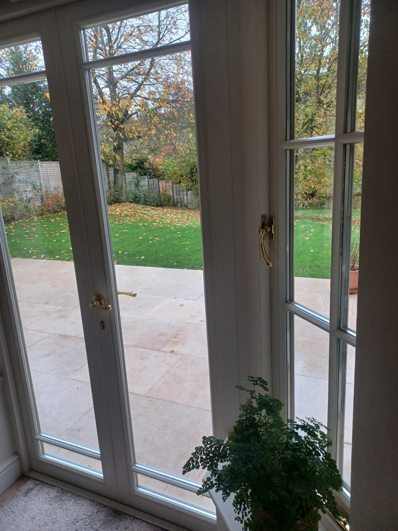 Elegant Timber Orangery & Garden Extension — Dorset & the South West, photo 32 of 40