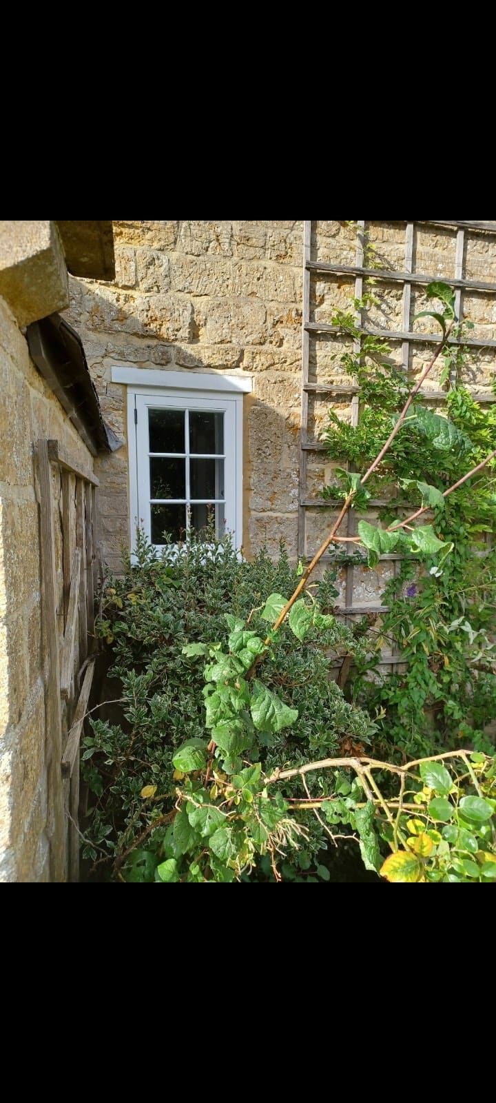 Traditional Timber Window & Door Projects — Dorset & the South West, photo 52 of 52